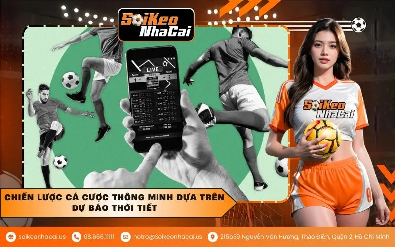 Chiến lược cá cược thông minh dựa trên dự báo thời tiết